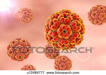 Stock Illustration - Brome mosaic virus, illustration. Fotosearch