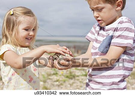 Brother and sister collecting stones View Large Photo Image Stock Image - Brother and sister collecting stones. Fotosearch