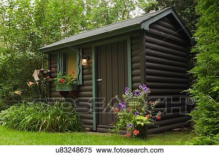 Brown painted log garden shed with red geraniums in window box and orange daylilies and planter View Large Photo Image Stock Photography - Brown painted log garden shed with red geraniums in window box and orange daylilies and planter. Fotosearch