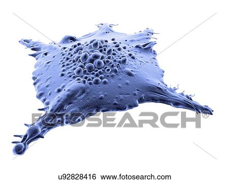 Stock Photograph - "Cancer cell, illustration". Fotosearch