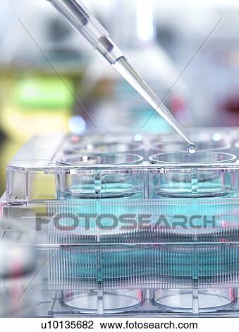 Chemical research View Large Photo Image Stock Image - Chemical research. Fotosearch