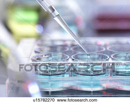 Chemical research View Large Photo Image Stock Image - Chemical research. Fotosearch