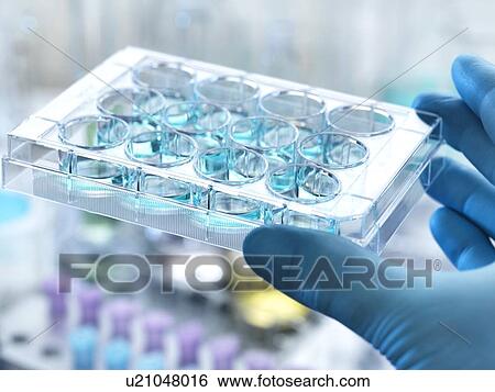 Stock Photograph - Chemical research. Fotosearch