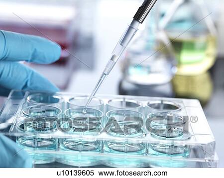 Stock Photography - Chemical research. Fotosearch