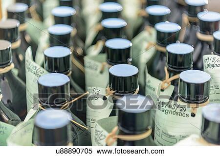 Close up of oil sample bottles in testing laboratory View Large Photo Image Stock Photography - Close up of oil sample bottles in testing laboratory. Fotosearch