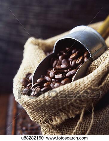 Coffee beans in woven sack with vintage coffee scoop View Large Photo Image Stock Image - Coffee beans in woven sack with vintage coffee scoop. Fotosearch