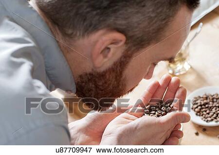 Coffee taster smelling coffee beans View Large Photo Image Stock Photo - Coffee taster smelling coffee beans. Fotosearch