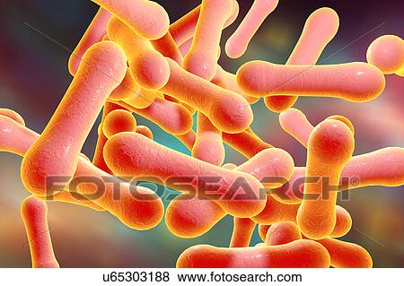 Stock Illustration - Corynebacterium diphtheriae, illustration. Fotosearch