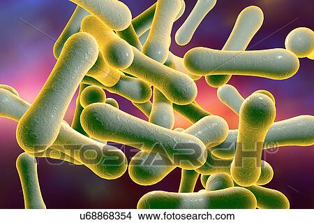 Stock Illustration - Corynebacterium diphtheriae, illustration. Fotosearch