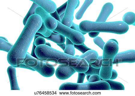 Stock Illustration - Corynebacterium diphtheriae, illustration. Fotosearch