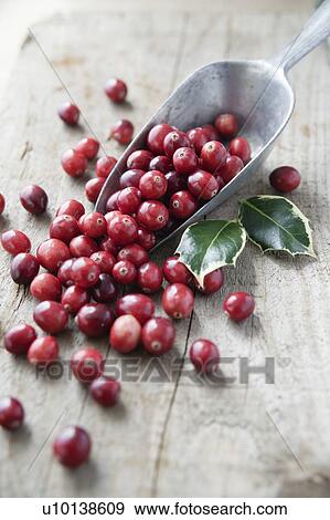 Cranberries View Large Photo Image Stock Photo - Cranberries. Fotosearch