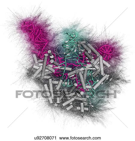 Stock Image - CRISPR-CAS9 gene editing complex. Fotosearch