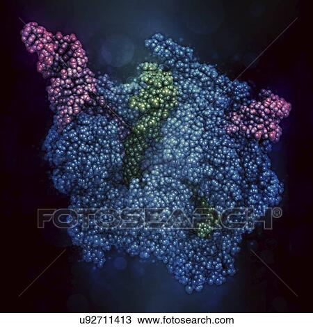CRISPR-CAS9 gene editing complex View Large Photo Image Stock Image - CRISPR-CAS9 gene editing complex. Fotosearch