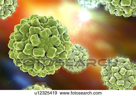 Cucumber necrosis virus, illustration View Large Illustration Stock Illustration - Cucumber necrosis virus, illustration. Fotosearch