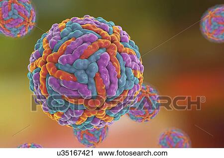 Clip Art - Dengue virus, illustration. Fotosearch