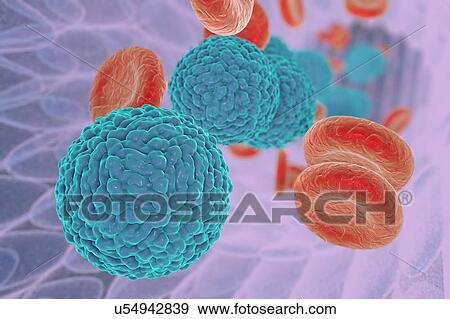 Stock Illustration - Dengue virus in blood, illustration. Fotosearch