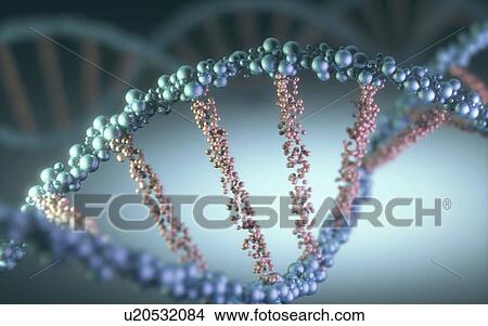 Dna helix, illustration View Large Illustration Stock Illustration - Dna helix, illustration. Fotosearch