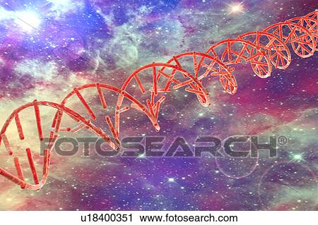 Clip Art - DNA molecule, illustration. Fotosearch