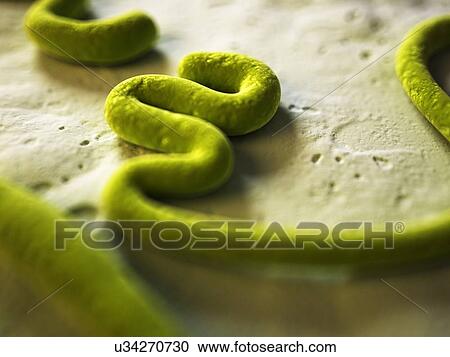 Clipart - Ebola virus, illustration. Fotosearch