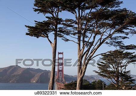 Stock Image - Elevated detail of Golden Gate bridge over San Francisco Bay, San Francisco, California, USA. Fotosearch