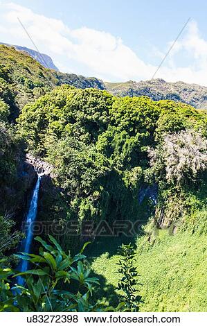 Stock Photo - "Elevated view of waterfall and rainforest, Haleakala, Hawaii, USA". Fotosearch