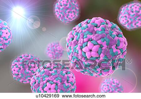 Stock Illustration - Enterovirus D68, illustration. Fotosearch