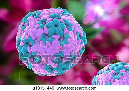 Enterovirus D68, illustration View Large Illustration Stock Illustration - Enterovirus D68, illustration. Fotosearch