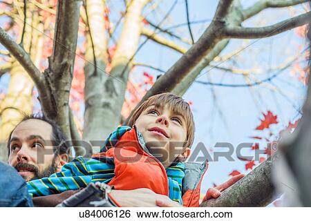 Father and son climbing tree View Large Photo Image Stock Photograph - Father and son climbing tree. Fotosearch