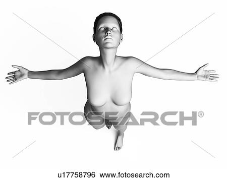Female anatomy, illustration View Large Illustration Stock Illustration - Female anatomy, illustration. Fotosearch
