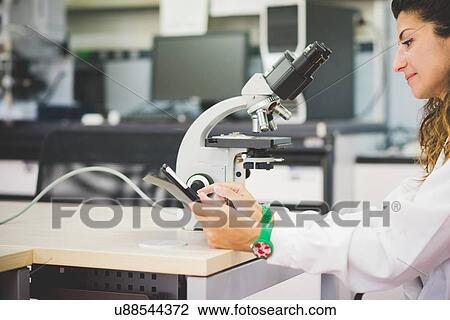 Stock Image - Female scientist using digital tablet and optical microscope. Fotosearch