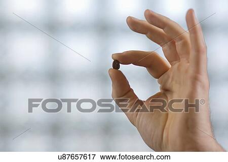Fingers holding coffee bean View Large Photo Image Stock Photo - Fingers holding coffee bean. Fotosearch