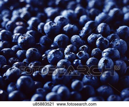 Fresh blueberries View Large Photo Image Stock Image - Fresh blueberries. Fotosearch
