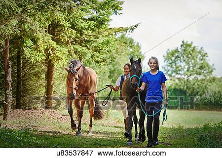 "Full length front view of girl and mature woman holding lead rope, walking with horses looking at camera smiling" View Large Photo Image Stock Photo - "Full length front view of girl and mature woman holding lead rope, walking with horses looking at camera smiling". Fotosearch