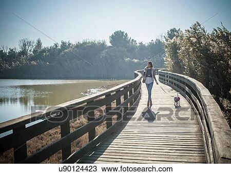 Stock Image - Full length front view of young woman wooden elevated walkway walking dog. Fotosearch
