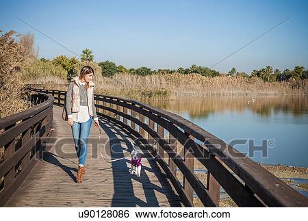 Full length front view of young woman wooden elevated walkway walking dog View Large Photo Image Stock Photograph - Full length front view of young woman wooden elevated walkway walking dog. Fotosearch