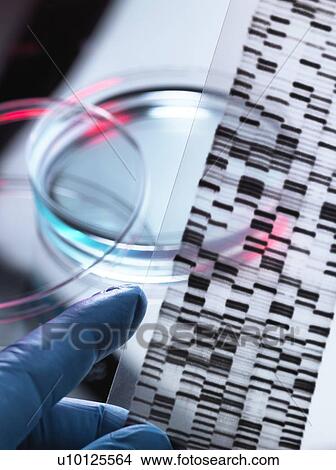 Genetic research View Large Photo Image Picture - Genetic research. Fotosearch