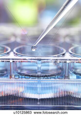 Stock Image - Genetic research. Fotosearch