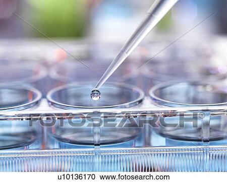 Stock Image - Genetic research. Fotosearch