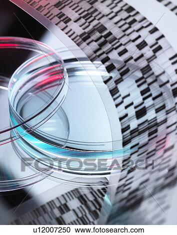 Genetic research View Large Photo Image Stock Image - Genetic research. Fotosearch