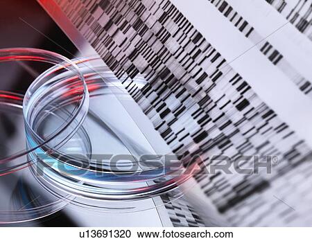 Genetic research View Large Photo Image Stock Image - Genetic research. Fotosearch