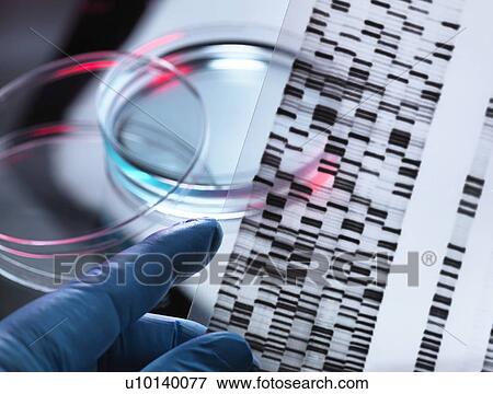 Stock Photo - Genetic research. Fotosearch