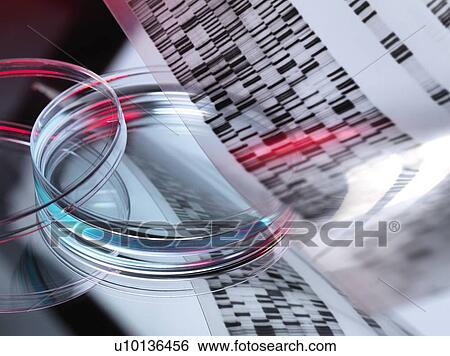 Stock Photograph - Genetic research. Fotosearch