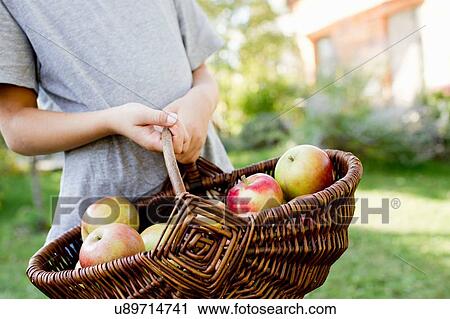 Girl holding basket of apples View Large Photo Image Stock Image - Girl holding basket of apples. Fotosearch