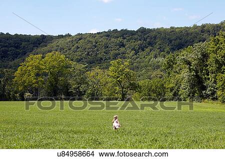 Picture - Girl running in field. Fotosearch