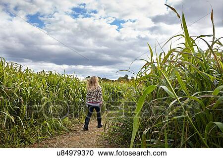 Stock Image - Girl walking in cornfield. Fotosearch