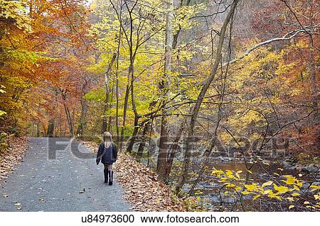 Girl walking in forest View Large Photo Image Stock Image - Girl walking in forest. Fotosearch