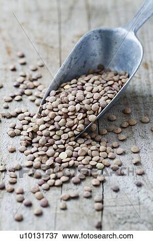Stock Photo - Green Lentils. Fotosearch