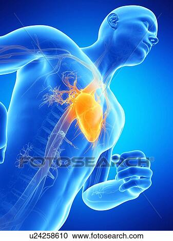 Clipart - Heart, illustration. Fotosearch