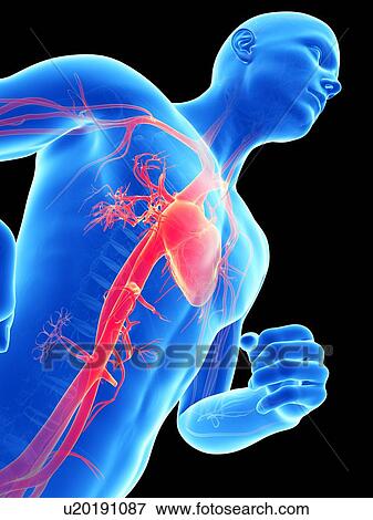 Stock Illustration - Heart, illustration. Fotosearch
