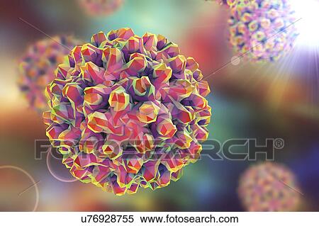 Hepatitis B virus, illustration View Large Illustration Stock Illustration - Hepatitis B virus, illustration. Fotosearch